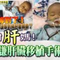 謝謝「肝」媽！小子謙肝臟移植手術成功