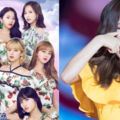 TWICE首部電影《TWICELAND》確定上映，包含世巡實況！網友：看封面就厲害了！！