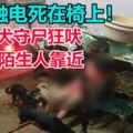 主人觸電死在椅上！10忠犬守屍狂吠逼退陌生人靠近