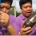 男子捉了15隻螃蟹，塞到瓶子裡，15天後打開樂壞了！