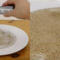 在水盤中撒上胡椒粉，用手指輕輕點一下，下一秒居然發生令人意想不到的事!