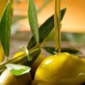 橄欖油是能降血脂、保護血管的「萬能油」？烹飪錯了同樣不健康