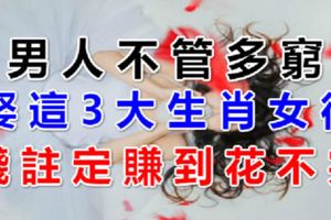 男人不管多窮，娶這3大生肖女後，錢註定賺到花不完！