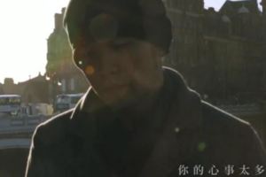 受國人喜歡的中國6位明星，開演唱會爆滿，劉德華有13萬人看，馬雲也去看她