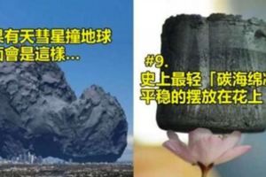 18張能讓大家直呼「現在才發現這個世界那麼奇趣」的照片