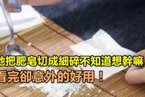 她把肥皂切成細碎不知道想幹嘛！看完卻意外的好用！