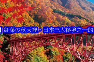 【仙境】紅葉の秋天裡，日本三大祕境之一的白川鄉，夢幻月色居然美得如此不為人知！