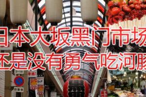 日本大阪黑門市場，還是沒有勇氣吃河豚