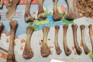 超狂網友吃完肯德基竟然用「雞骨頭還原游戲人物」，作品完成後…隔壁桌的小學生都瞬間看呆了啊！
