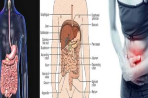 醫生強烈警告！這八種飲食習慣最致癌，別讓自己把癌症「吃」出來...