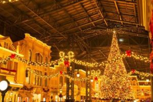 2017東京迪士尼樂園聖誕節「聖誕夢幻」登場！「聖誕禮物」城堡投影秀亮相！
