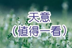 佛說：一切都是天意（值得一看）