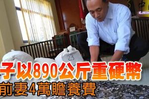 ﻿男子以890公斤重硬幣付前妻4萬贍養費