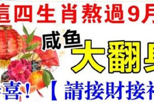 這四生肖熬過9月就會鹹魚大翻身，恭喜這些生肖的朋友，請你們【接財接福】