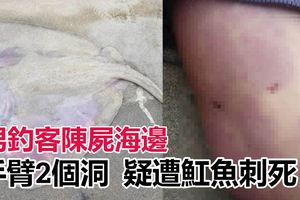 男釣客倒臥海堤,手上2個洞，疑遭?魚「神經毒」致命。