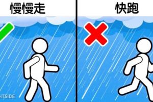 雨中快跑反而淋更濕　戳破6個「到現在還很多人相信」的錯誤觀念