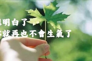 想明白了，你就再也不會生氣了（好文）