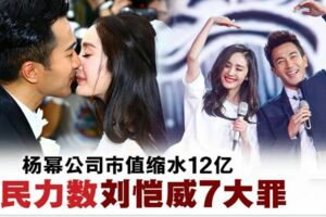 楊冪劉愷威離婚·公司市值縮水12億,網民力數劉愷威7宗罪!