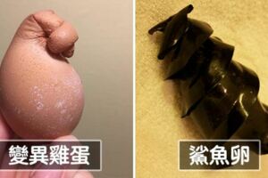 25張「大自然永遠讓人眼睛一亮」的驚奇照　它一直都在打破我們的常識