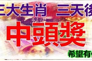 三大生肖，三天後買彩票有望中頭獎