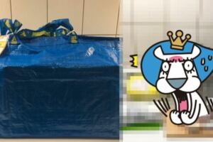 這福袋太狂！他買IKEA福袋以為又踩雷…「超賺開箱成果」大家狂呼:IKEA賠很大！(17P)