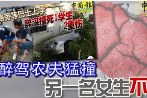 遭醉駕農夫猛撞另一名女生不治
