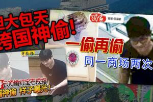 【獨家報導】膽大包天！跨國神偷！一偷再偷！同一商場兩次干案！