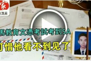 少年被車撞死，考到5A可惜他看不到