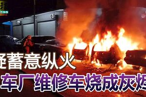 疑蓄意縱火蒲種7車廠維修車燒成灰燼