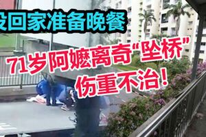 沒回家準備晚餐，71歲阿嬤離奇「墜橋」傷重不治！