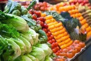 十字花科蔬菜有多神奇？油菜補鈣、紫甘藍抗衰老，西蘭花也有營養