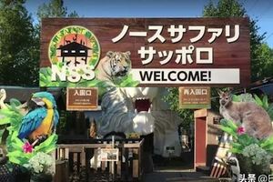 日本最危險的動物園，入園要簽生死狀
