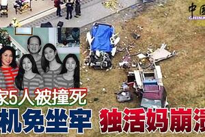 一家5人被撞死司機免坐牢獨活媽崩潰