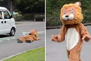 真工讀生！動物園「超ㄎㄧㄤ演習」布偶獅子下一秒被抬走超好笑！