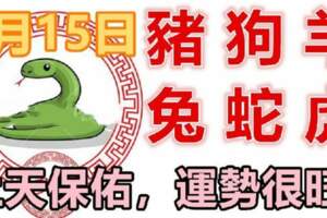 8月15日生肖運勢_豬、狗、羊大吉