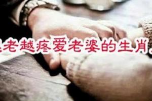 年少夫妻老來伴，「這三個」生肖男越老越疼老婆！看看你家有沒有？