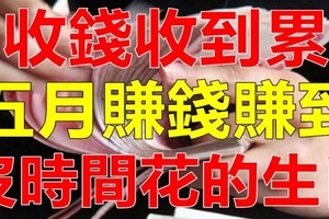 收錢收到累！5月賺錢賺到沒時間花的三大生肖！