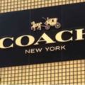 創立76年後「Coach決定換新名」，從數千名字中挑選…包迷崩潰「新名字爛透了」！