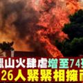 希臘山火至少74死•一家26人相擁命喪近海酒店