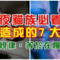 夜貓族必看！熬夜造成的7大傷害！專家：作息不規律，等於在慢性自殺！