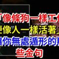 「像條狗一樣工作，以便像人一樣活著」：讓你無處遁形的那些金句