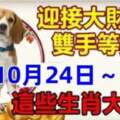 10月24日～28日迎接大財運，這些生肖大旺財