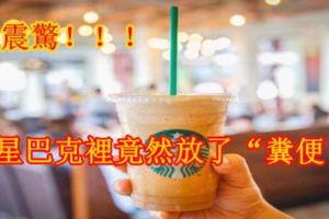 震驚，星巴克裡竟然放了「糞便」