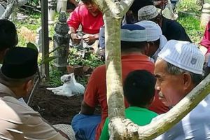 貓咪賴在主人墳上...不肯離去...別再說貓咪是無情的動物！