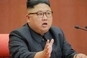 朝鮮勞動黨七屆二次全會金正恩妹妹金與正當選政治局候補委員