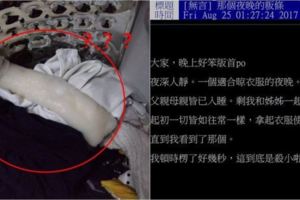 洗衣機裡出現奇怪「粄條」當她鼓起勇氣拿起來看才知道...網笑哭：這後勁好強