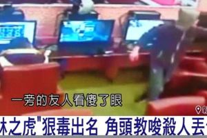 橫行樹林一帶，自稱「樹林之虎」個性冷血，一名被害人與女友交往後決定洗心革面，要斷絕和一切壞朋友的往來，誰知道卻遭亂棒打死。