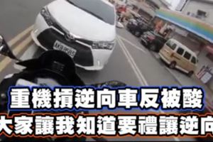 重機摃逆向車反被酸　「大家讓我知道要禮讓逆向」
