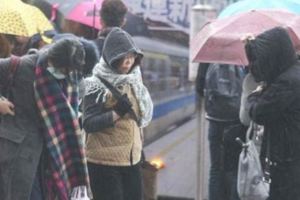 一張圖看懂一週天氣　下週急凍11度