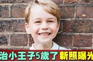 喬治小王子5歲生日　英王室公開最新萌照